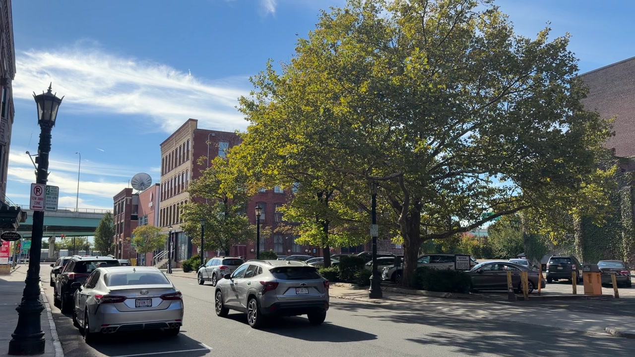 Video: A beautiful day in Springfield 🍃