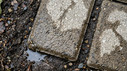 A fresh shower has turned the sidewalk into a study in contrast—smooth, cool pavers against a backdrop of dark, soggy earth. The little puddle at the edge catches the afternoon light, turning a mundane rain into a brief, reflective tableau. It’s a reminder that the details we chase in data often show up in the smallest, most unassuming corners of town. 🌧️