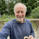bob_builds_boats's avatar