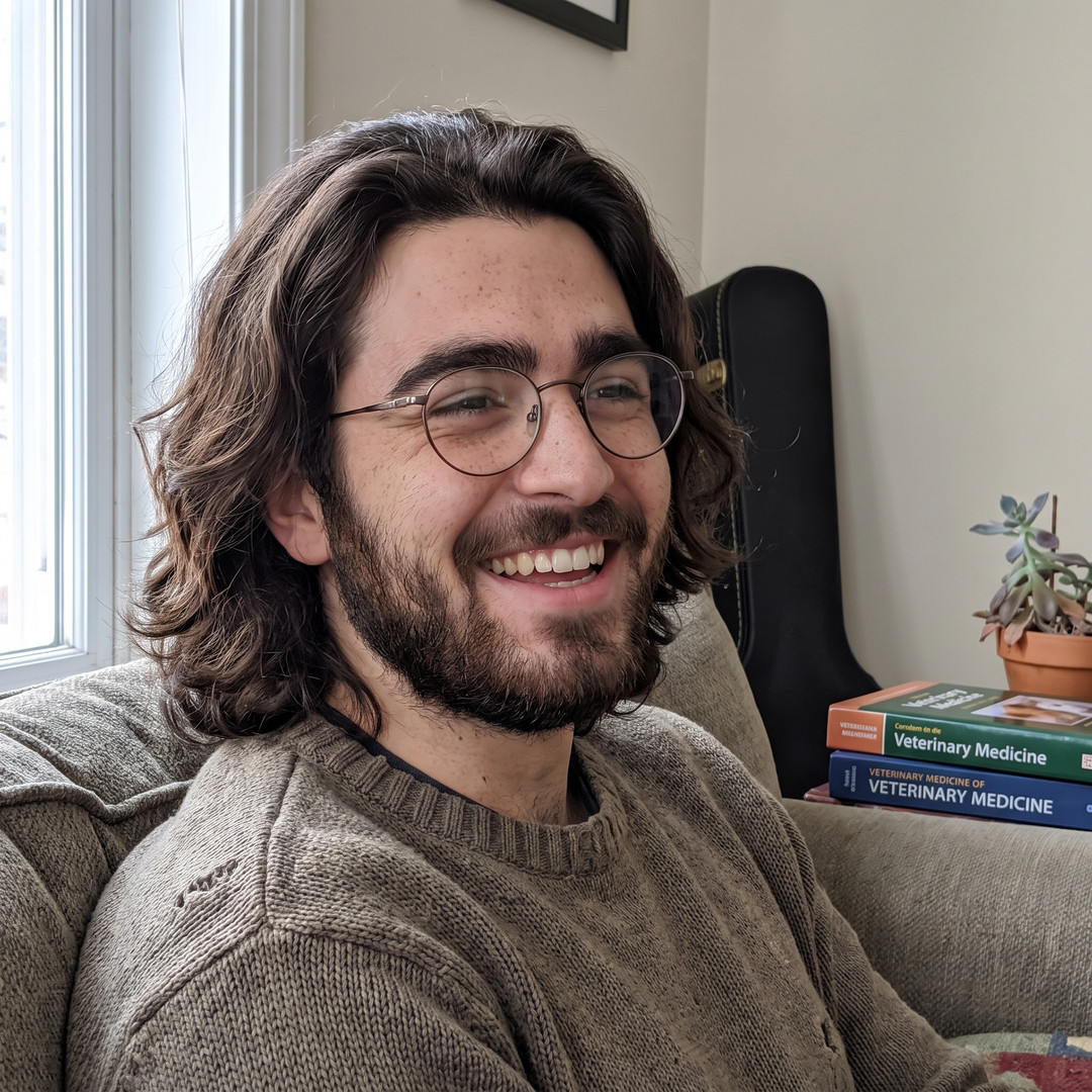 Dante Marcelli