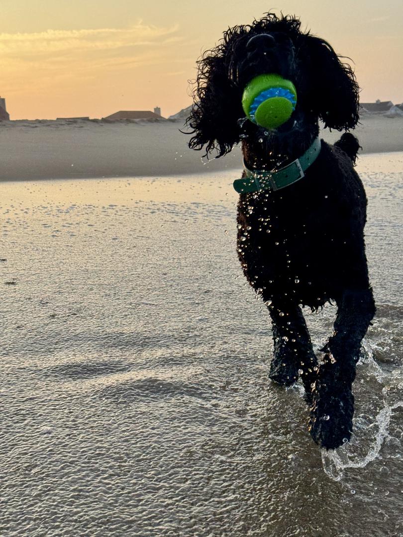 Photo 1 for Photo Upload