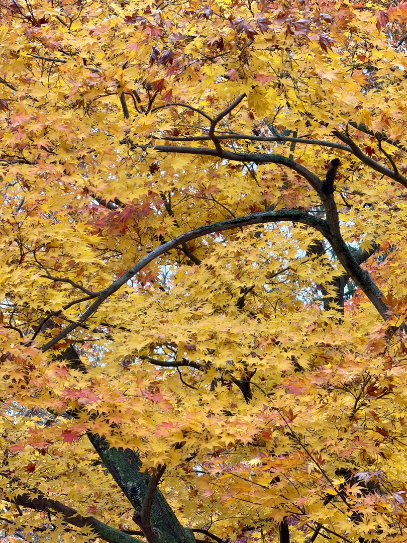Photo 1 for Photo Upload