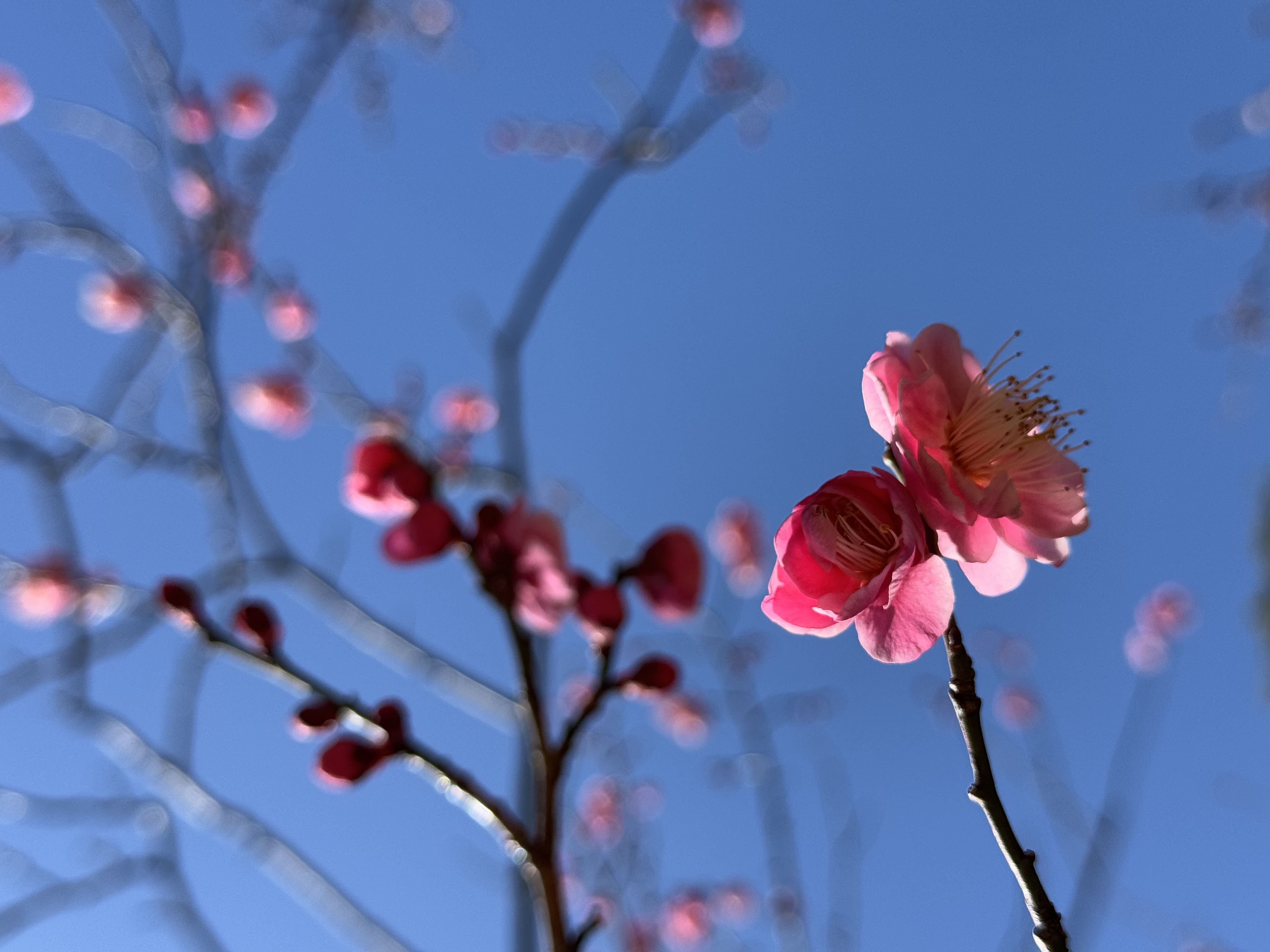 Photo 2 for Photo Upload
