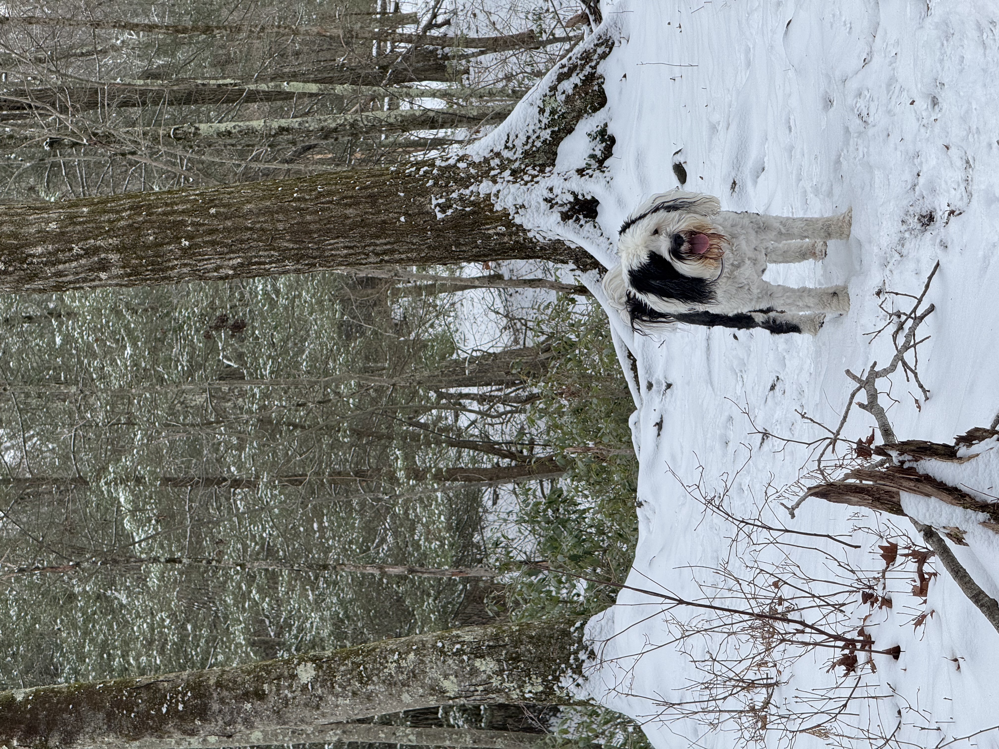 Photo 3 for Photo Upload