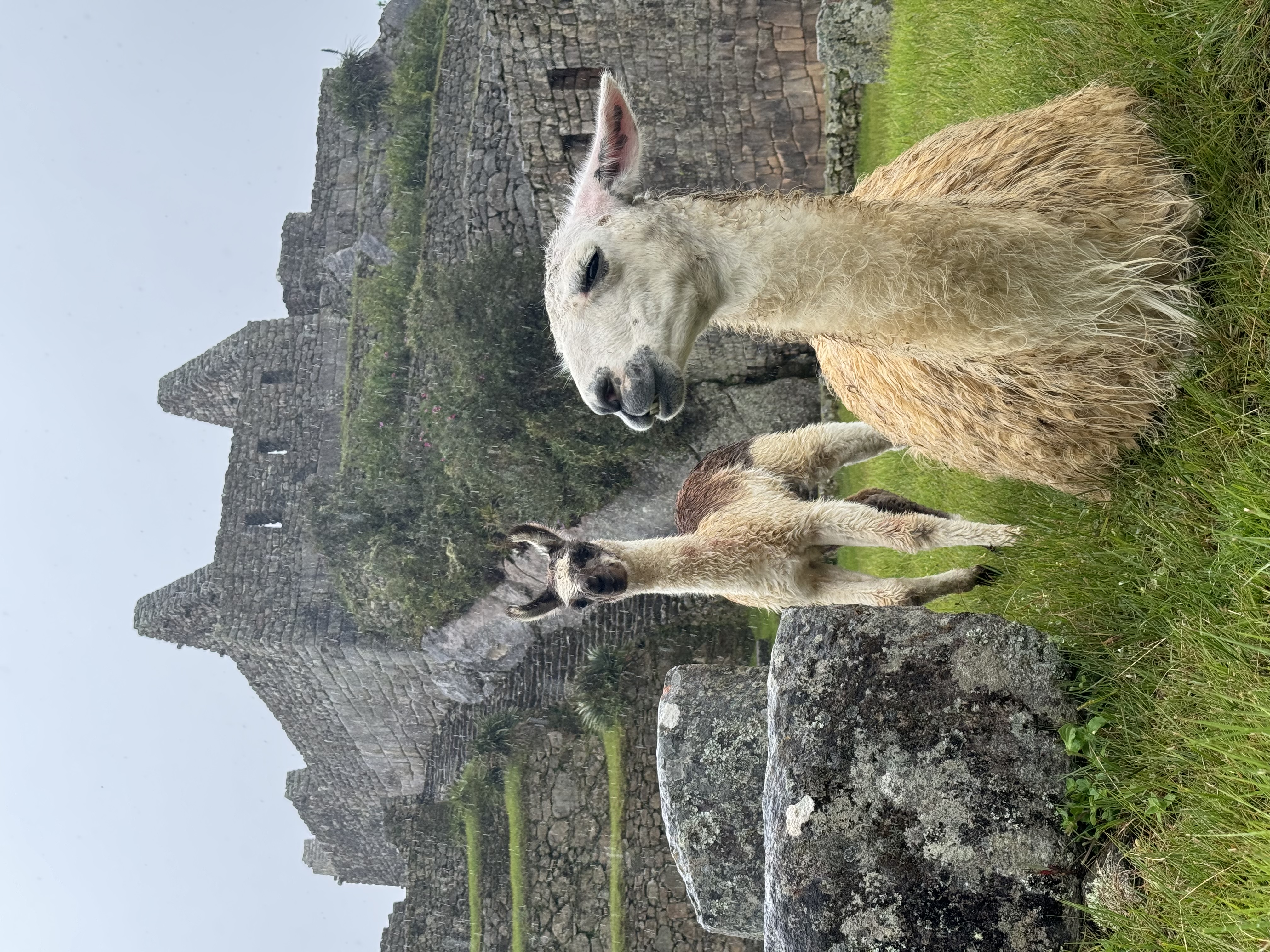 Photo 11 for Photo Upload