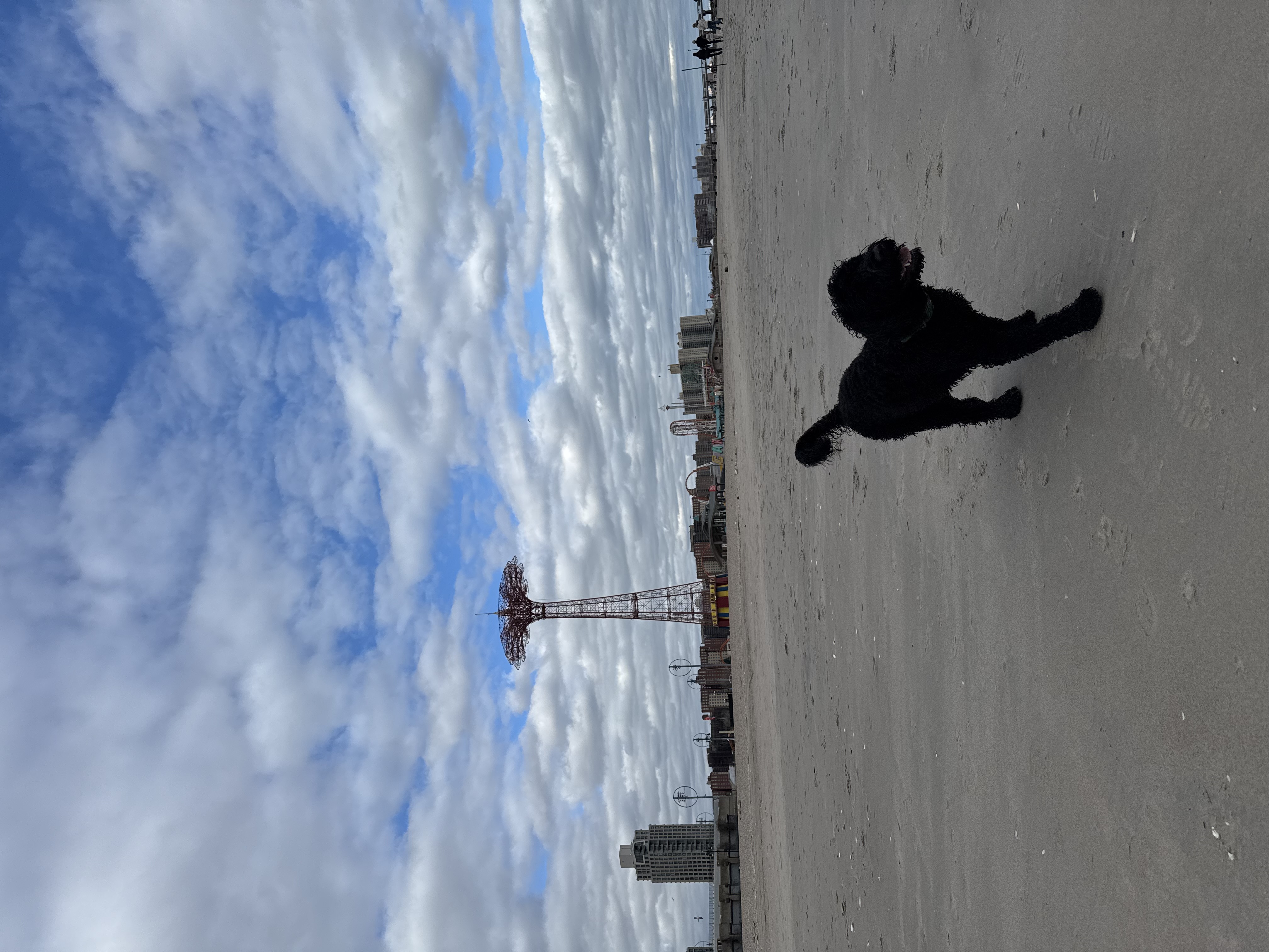 Photo 1 for Photo Upload