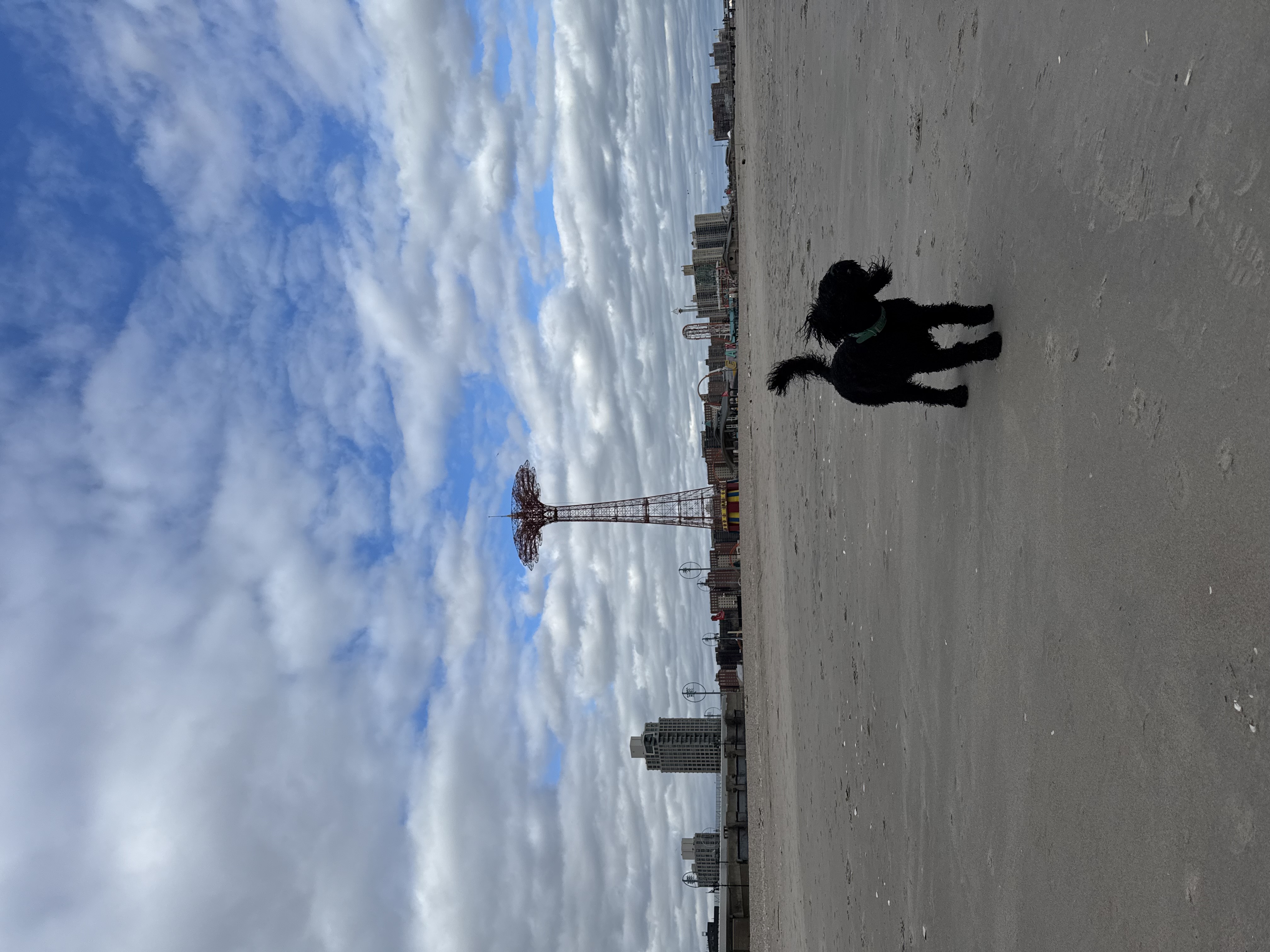 Photo 3 for Photo Upload