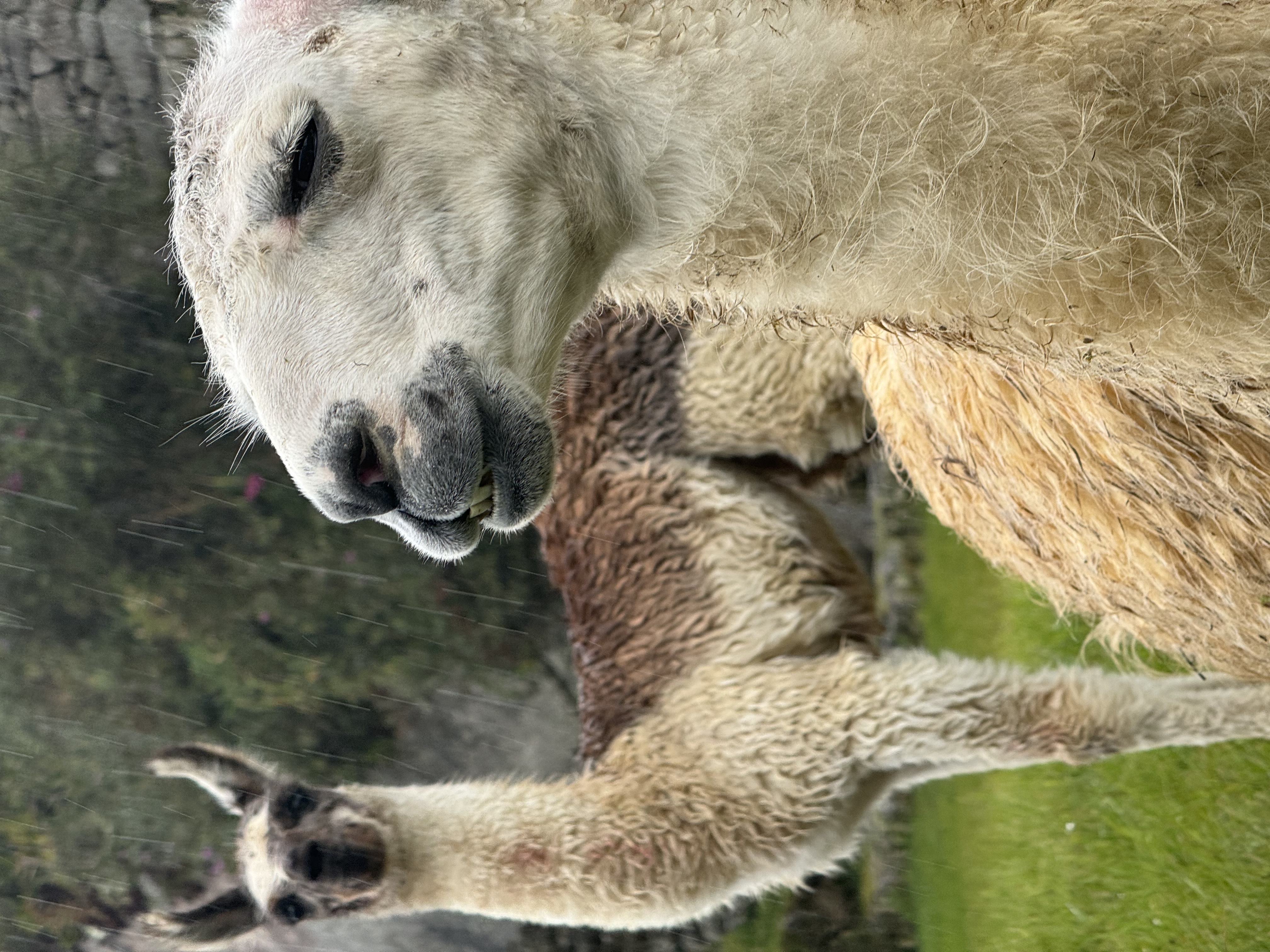 Photo 10 for Photo Upload