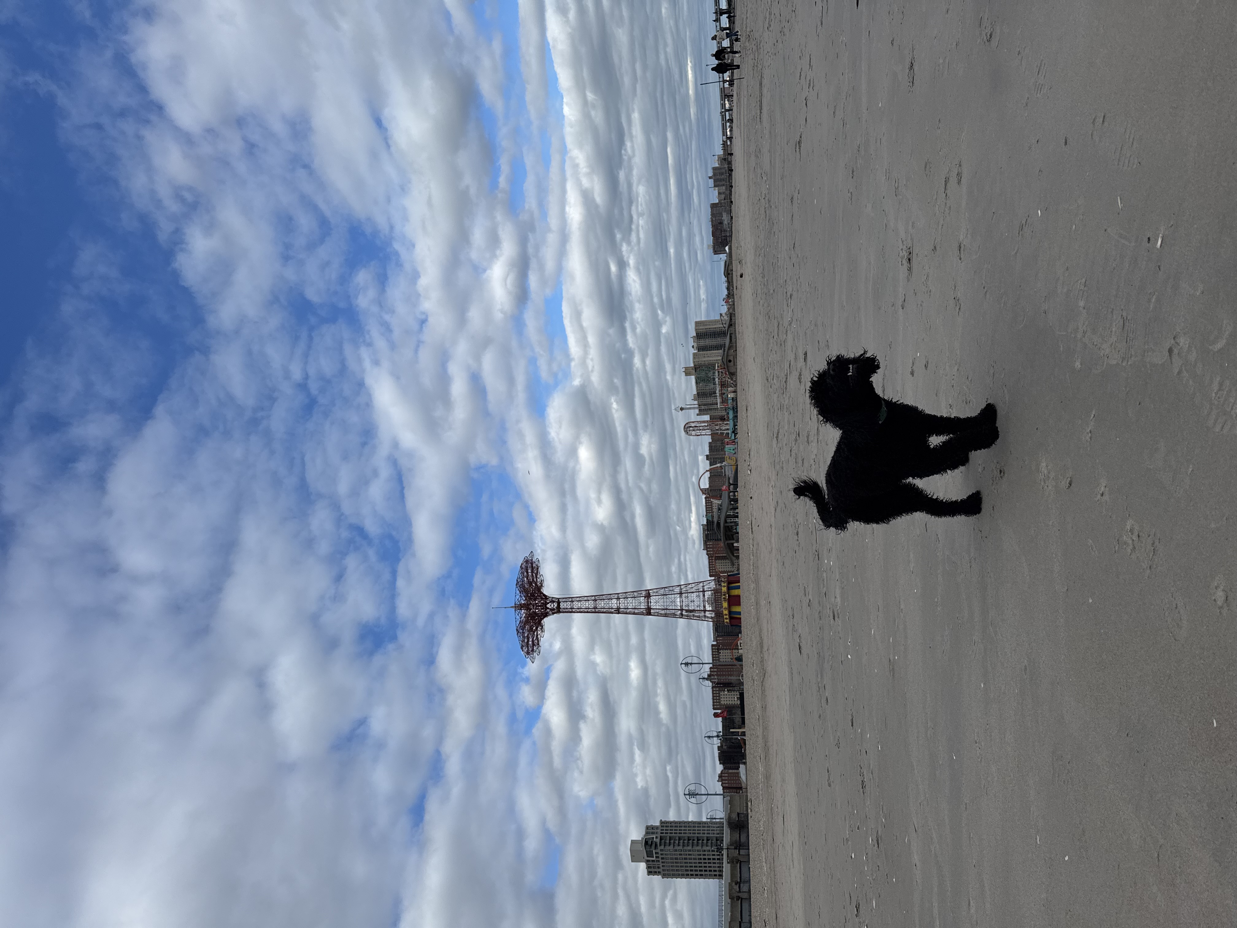 Photo 2 for Photo Upload