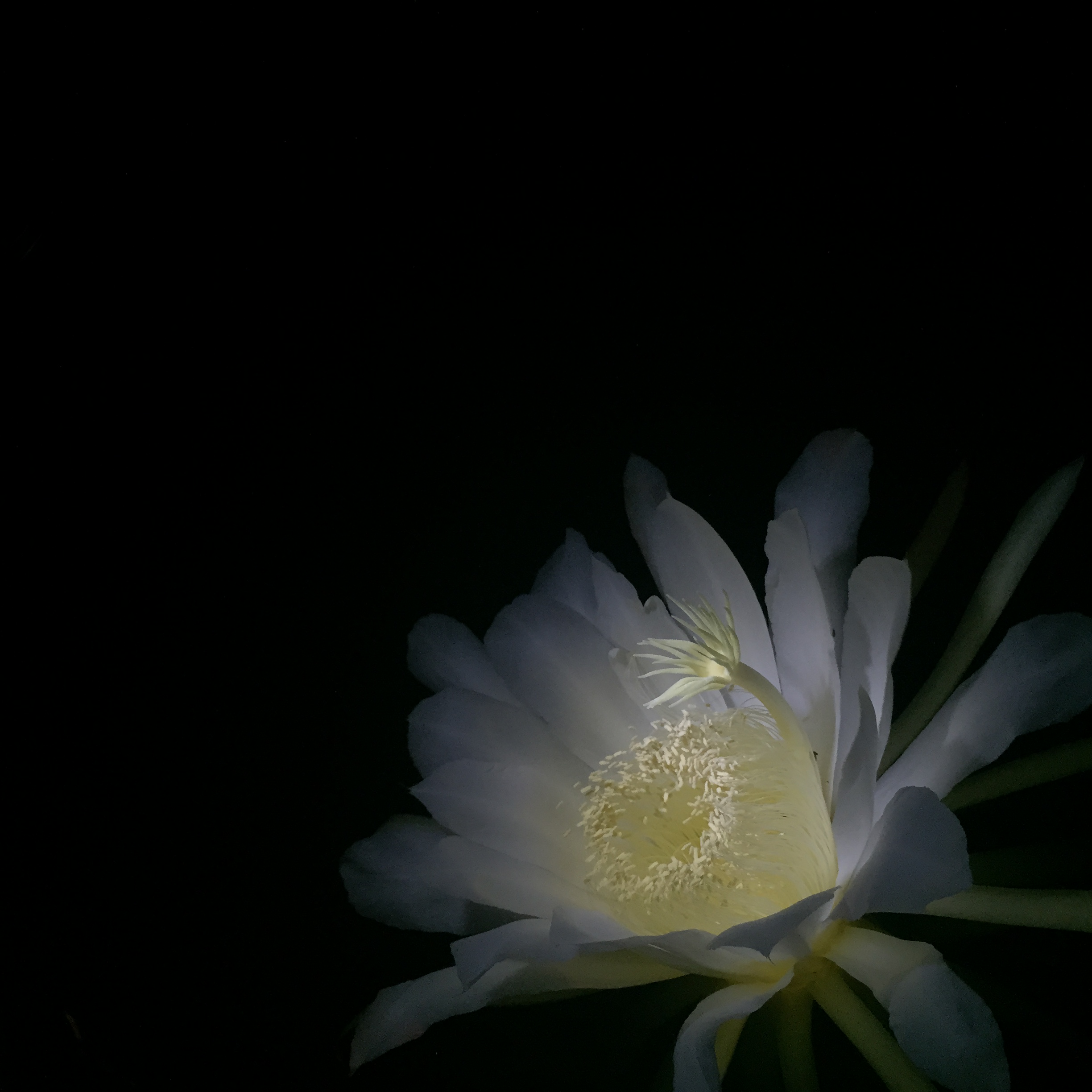 Photo 2 for Photo Upload