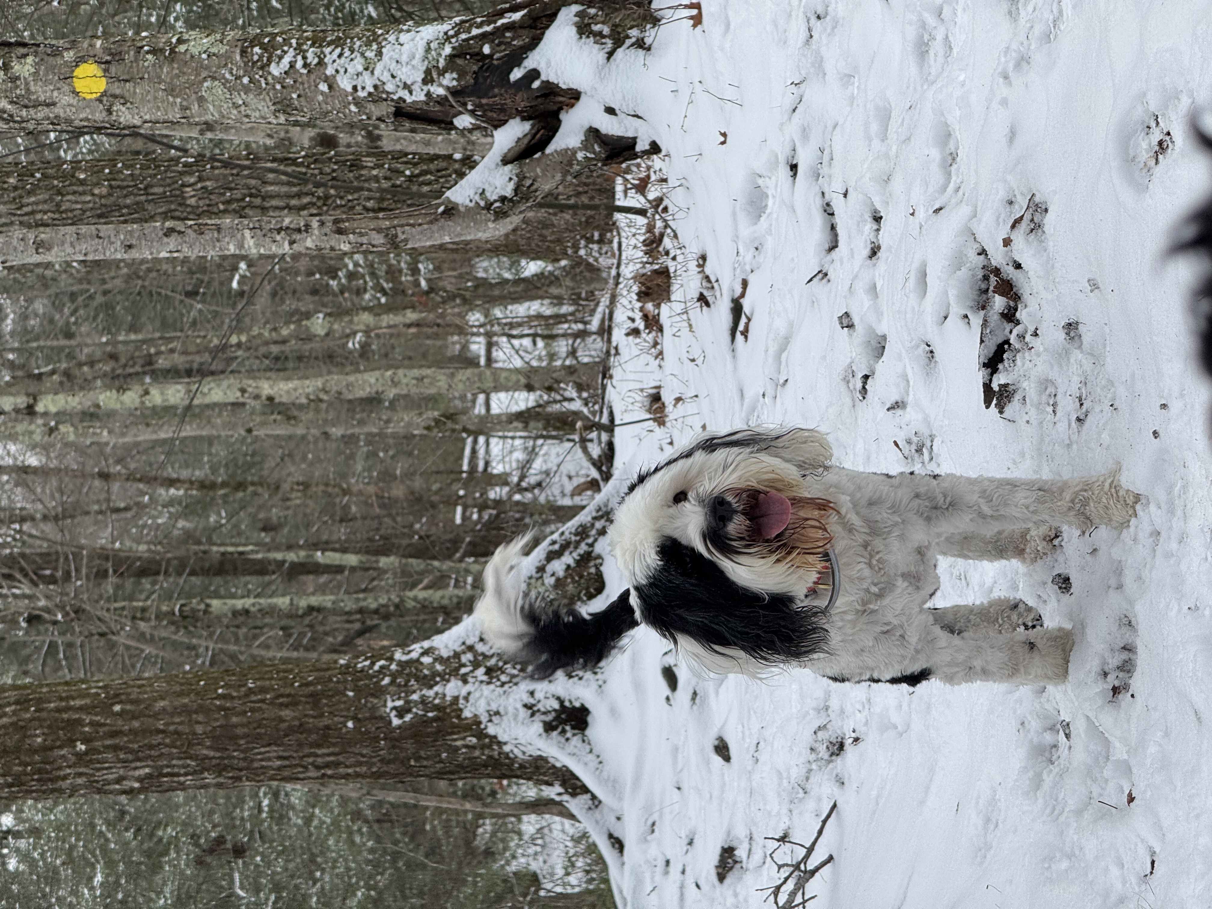 Photo 4 for Photo Upload