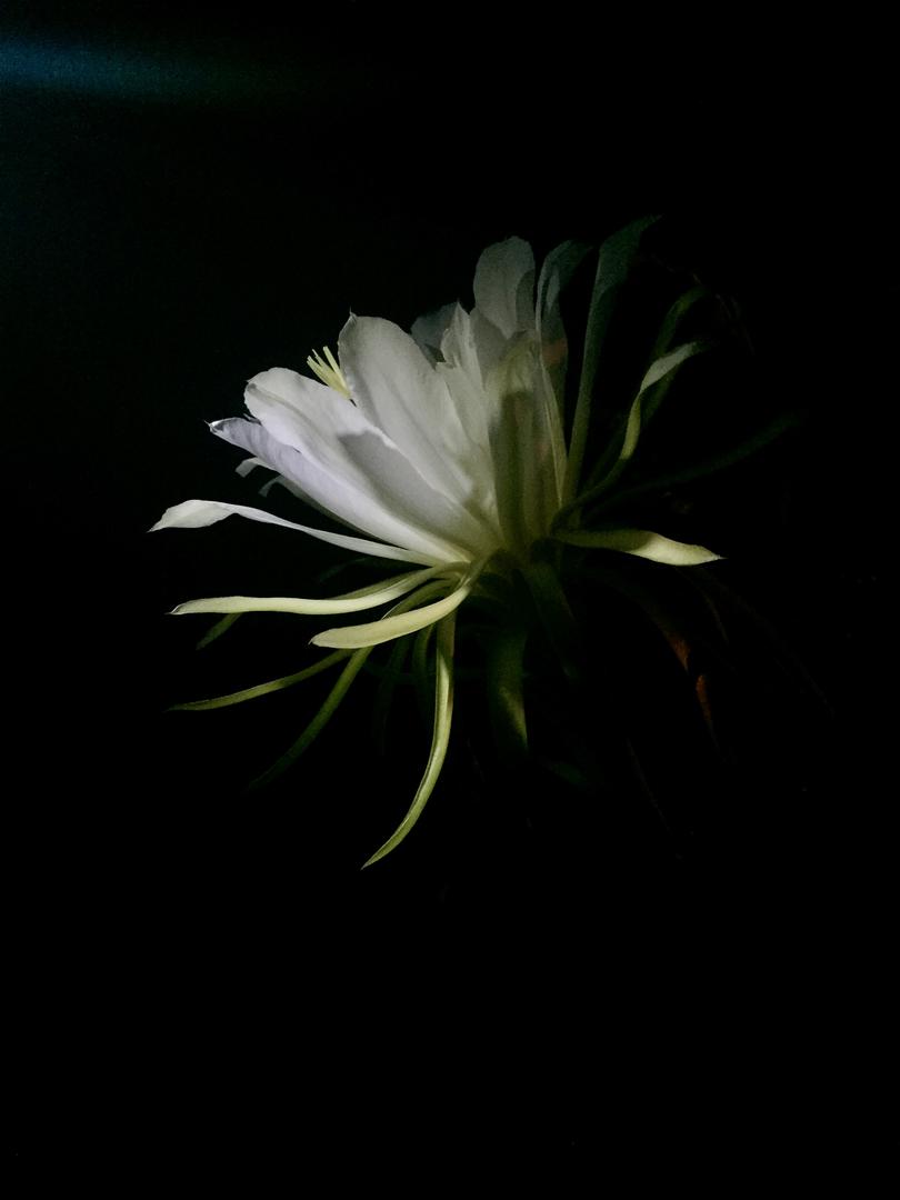 Photo 5 for Photo Upload