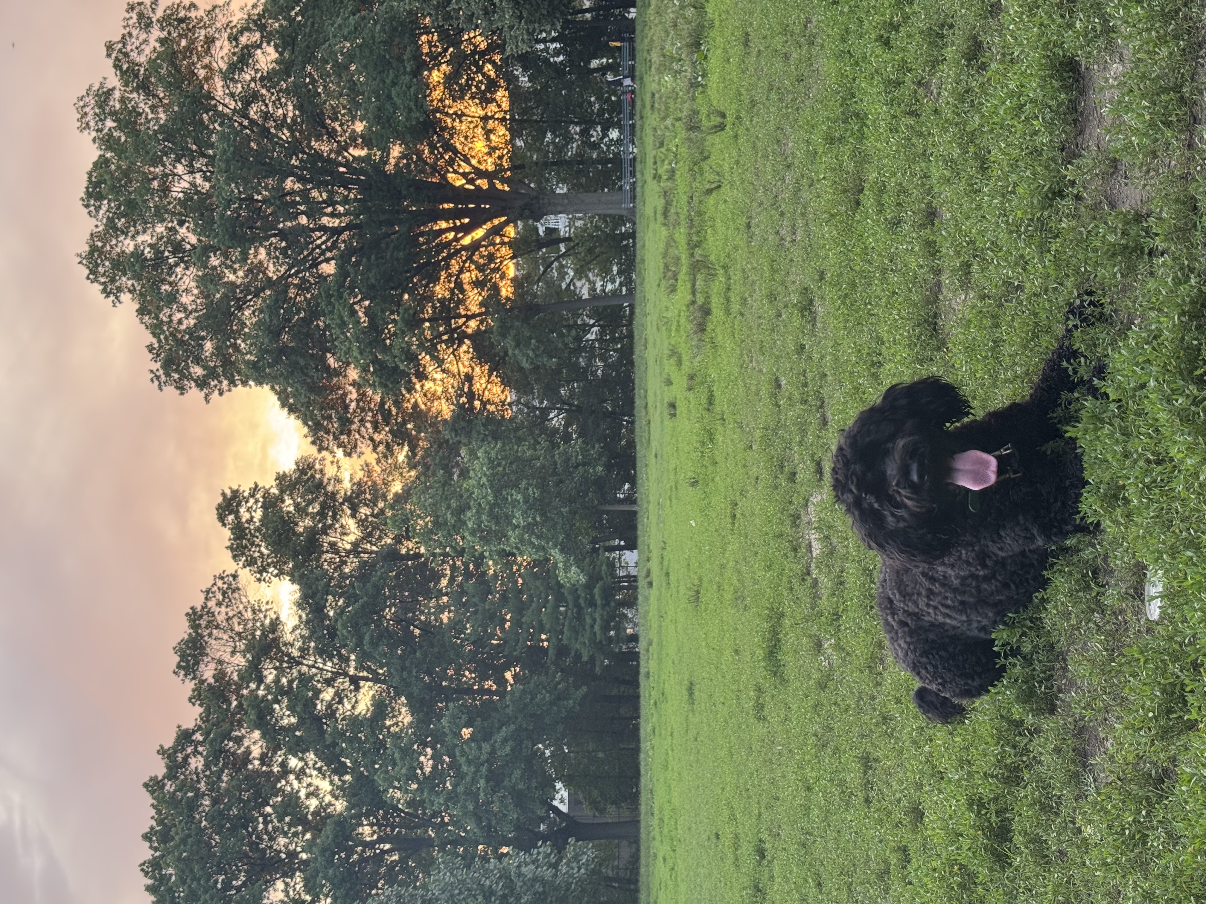 Photo 4 for Photo Upload