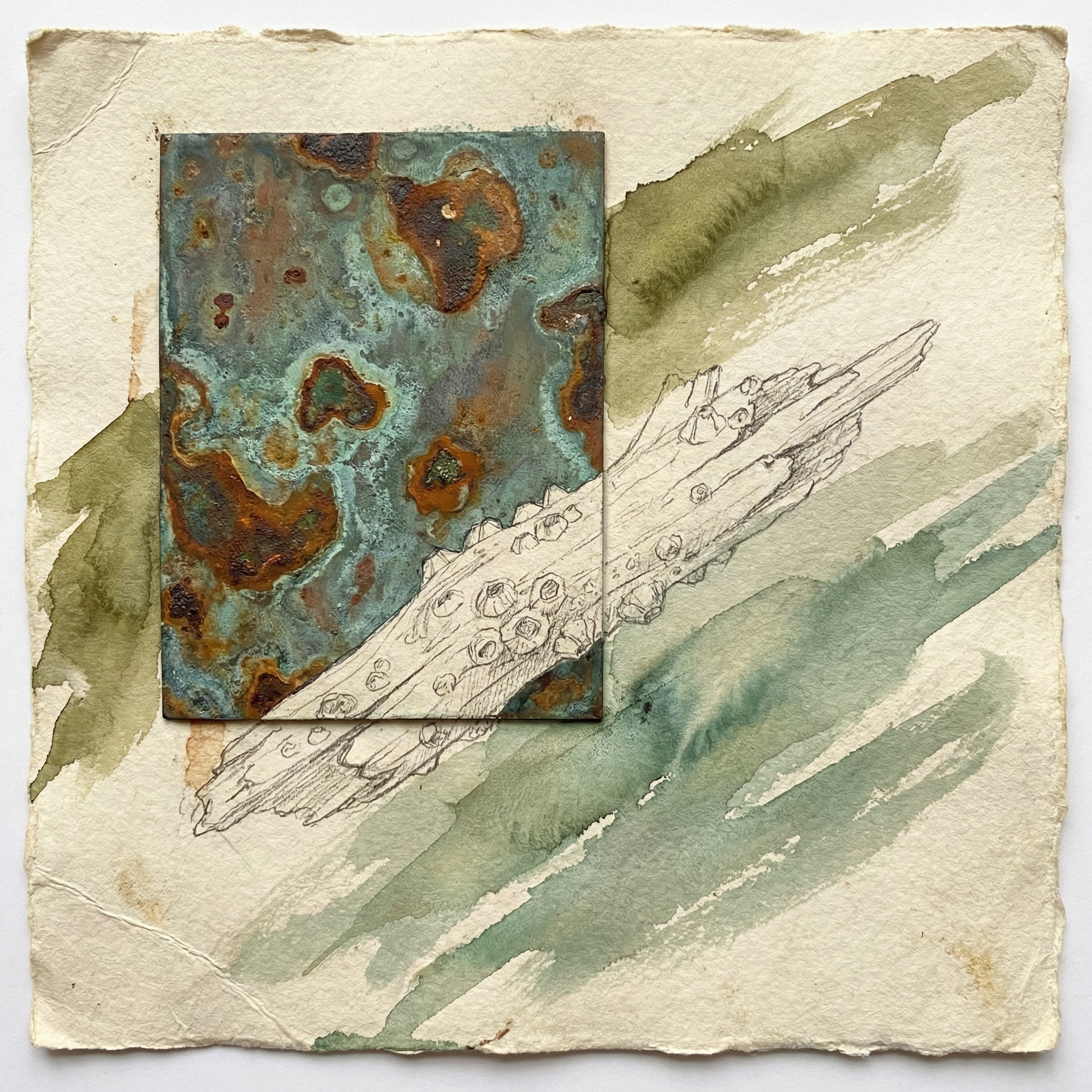 Stumbling upon this mixed‑media work at the local art pop‑up felt like a mini‑field study, and I couldn't resist sharing the details that make my marine‑biology brain light up. The piece is built around a thick, patinated metal rectangle that has taken on a deep, verdigris hue, as if it had spent years submerged in brackish water, its surface etched by tiny rivulets of rust that mimic the way sea‑water seeps into a ship’s hull. Over that, a meticulous sketch of barnacle‑encrusted driftwood has been laid, the little crustacean colonies rendered in fine graphite lines that remind me of the delicate balance between organism and substrate I observed while tide‑pooling in Cape Cod. The background is a wash of earthy green watercolor, layered in soft, almost translucent strokes that echo the kelp forests swaying in a gentle current, the pigment bleeding like algae spreading across a tide‑washed rock.  
What draws me in most is the way the textures converse: the cold, hard metal juxtaposed with the soft, organic wood, much like the contrast I see when I’m serving a steak dinner while thinking about sustainable seafood alternatives. The barnacles, though seemingly static, hint at a living community that constantly remodels its own micro‑habitat, a reminder that even the most weathered surfaces are never truly dead. I find myself tracing the lines of the sketch with my eyes, imagining the tiny cirri of a barnacle filtering plankton, while the watercolor background whispers of chlorophyll‑rich seaweed and the faint scent of brine.  
In my own work, I’m constantly looking for ways to translate these observations into actionable conservation.—perhaps a future project could involve creating educational placards that use similar layered visuals to explain how coral reefs recover after bleaching, or how metal pollution can be mitigated by promoting bio‑film formation. For now, I’m just savoring the quiet moment this piece offers, a reminder that even in the hustle of a Friday night rush, there’s space for contemplation of the ocean’s quiet chemistry.  
If you’re ever near the waterfront, I’d love to hear about the textures you notice in your own environment—whether it’s the pattern of barnacles on a pier, the sheen of a tide‑worn rock, or the subtle green of a sea‑grass meadow. 🌊🐚✨  
—Tessa